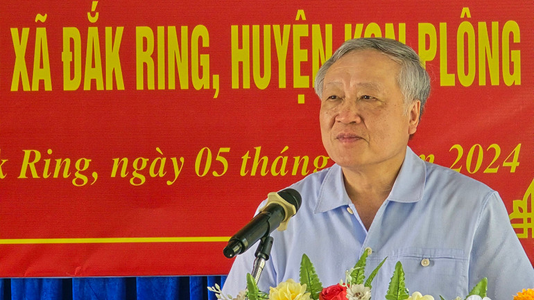 Đồng chí Nguyễn Hòa Bình phát biểu tại buổi làm việc