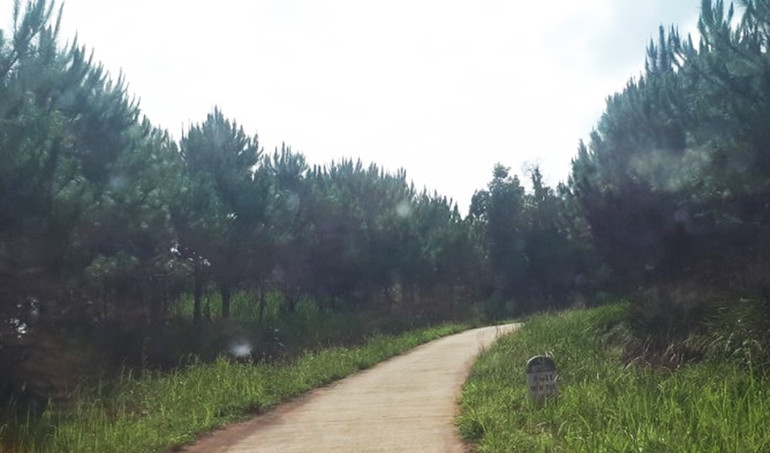 Đường lên Cột mốc 3 biên Việt Nam-Lào-Campuchia được bê-tông hóa.