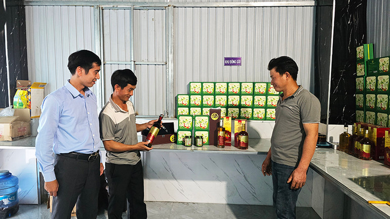 Tìm hiểu các sản phẩm được chế biến từ nhung hươu.