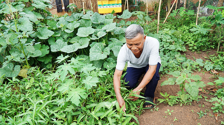 Ông A Hak cải tạo vườn tạp hưởng ứng Cuộc vận động “Làm thay đổi nếp nghĩ, cách làm của đồng bào dân tộc thiểu số, làm cho đồng bào dân tộc thiểu số vươn lên thoát nghèo bền vững”.