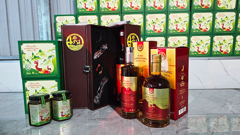 Đa dạng các sản phẩm từ nhung hươu của Hợp tác xã Nông nghiệp Đồng Tiến.