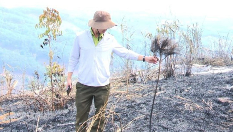 Lực lượng chức năng kiểm tra hiện trường vụ cháy. Lực lượng chức năng kiểm tra hiện trường vụ cháy.