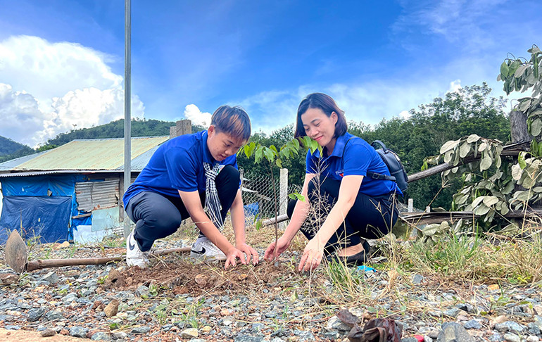 Trồng cây sao xanh tại thôn 3, xã Ia Dom, huyện Ia H'Drai.