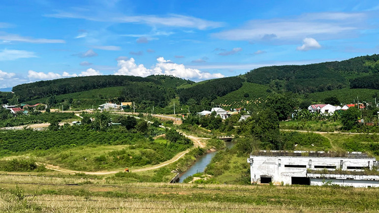 Cánh đồng bị bom mìn tàn phá hồi sinh dưới chân công trình thủy lợi Đập Đăk Ui Cánh đồng bị bom mìn tàn phá hồi sinh dưới chân công trình thủy lợi Đập Đăk Ui