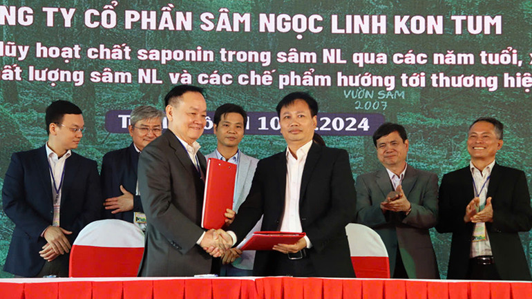 Ký kết ghi nhớ hợp tác nghiên cứu khoa học giữa nhóm nghiên cứu Trường đại học Tôn Đức Thắng với Công ty cổ phần sâm Ngọc Linh Kon Tum.