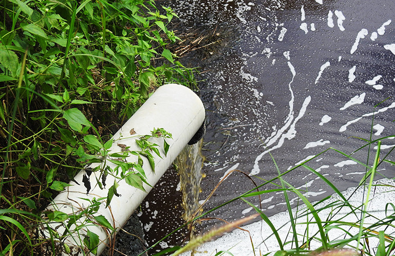 Nước thải được đổ trực tiếp tại con suối gần trại lợn.