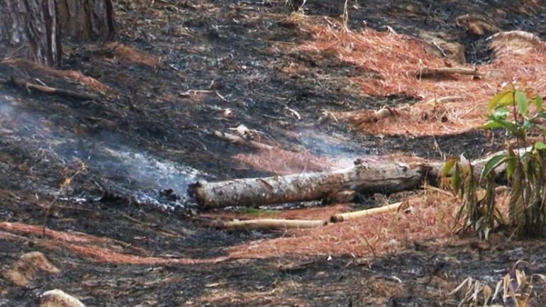 Đám cháy được dập tắt sau 7 giờ đồng hồ. Đám cháy được dập tắt sau 7 giờ đồng hồ.