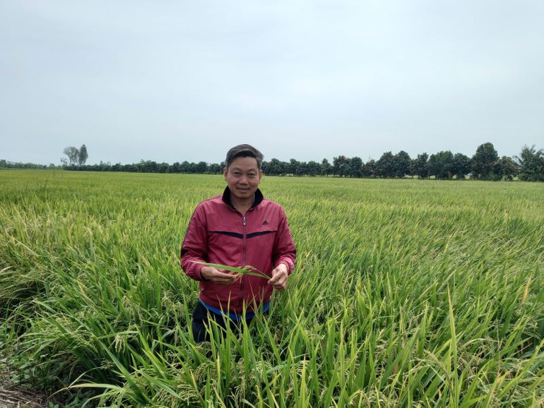 Anh Lưu Văn Đình trúng mùa bội thu khi đặt niềm tin vào sản phẩm NPK Phú Mỹ. Anh Lưu Văn Đình trúng mùa bội thu khi đặt niềm tin vào sản phẩm NPK Phú Mỹ.