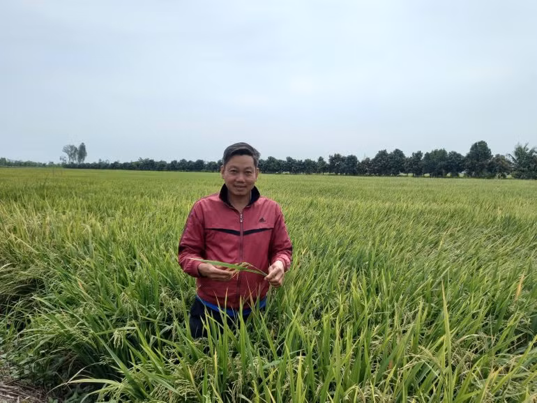 Anh Lưu Văn Đình trúng mùa bội thu khi đặt niềm tin vào sản phẩm NPK Phú Mỹ.