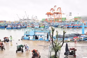 Gia Lai sẽ khảo sát và đề xuất hỗ trợ chi phí nhiên liệu cho ngư dân khi giá dầu tăng cao.
