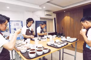 Các giám khảo cuộc thi, làm việc ở vòng nếm cà-phê.