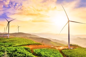 Tỉnh Quảng Trị hiện có 24 dự án điện gió đã vận hành với tổng công suất 1.102 MW.