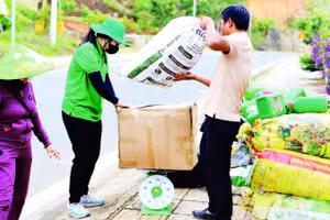 Người dân tham gia chương trình đổi bao bì, chai lọ thuốc bảo vệ thực vật đã qua sử dụng lấy quà tặng tại phường Lâm Viên-Đà Lạt.