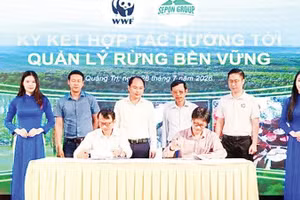 Ký kết hợp tác hướng tới quản lý rừng bền vững (Ảnh HOÀNG PHÚC)