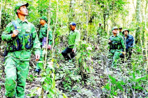 Ban Quản lý Rừng phòng hộ Vành đai biên giới phối hợp lực lượng Bộ đội Biên phòng thực hiện tuần tra rừng trên địa bàn biên giới phía tây tỉnh Lâm Đồng.