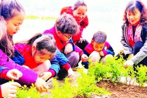 Các em học sinh phường Hai Bà Trưng được hướng dẫn chăm sóc cây xanh trên địa bàn.