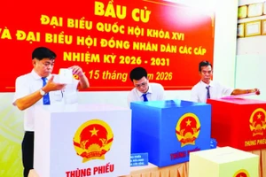 Phường Diên Hồng hoàn thiện các khâu chuẩn bị cuối cùng, sẵn sàng cho ngày bầu cử 15/3 thành công tốt đẹp.