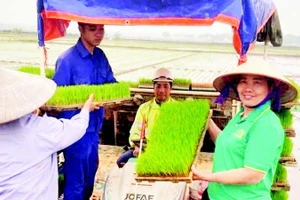 Gieo trồng lúa xuân bằng máy tại xã Phú Xuyên.