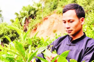 Anh Lý Đức Dân, Giám đốc Hợp tác xã Trồng và chế biến chè Thanh Thủy.