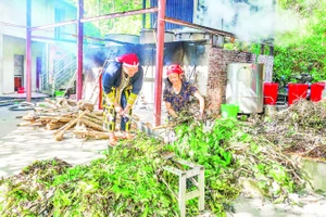 Chế biến và sản xuất thuốc tắm từ cây dược liệu tại Hợp tác xã cộng đồng Dao đỏ Tả Phìn.