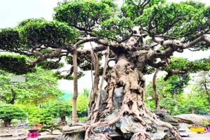 Giữ nghề truyền thống ở Vị Khê