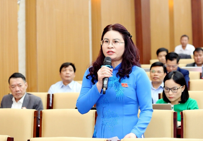 Đại biểu Hội đồng nhân dân chất vấn tại phiên họp. image005.jpg