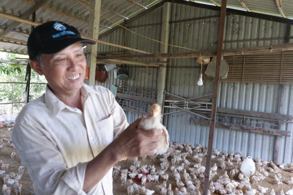 Mô hình sinh kế hiệu quả giúp nhiều hộ tăng thu nhập, nâng cao đời sống