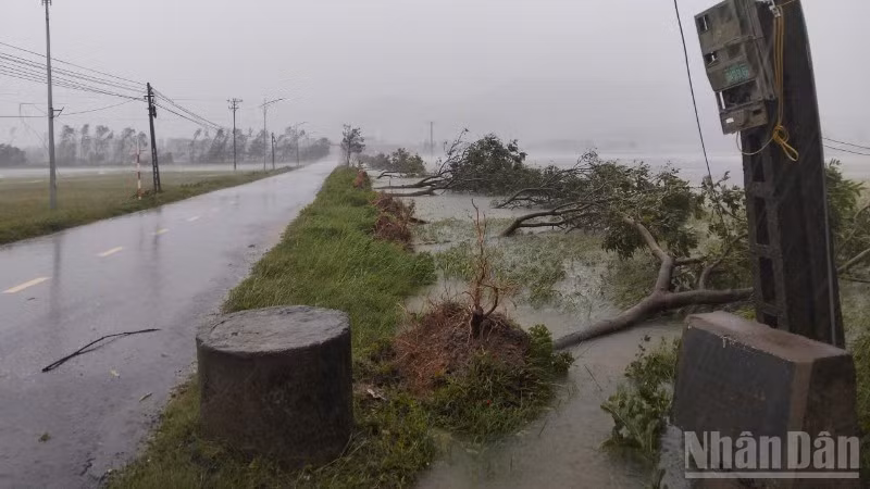 Bão số 5 đã đi vào đất liền Hà Tĩnh với sức gió mạnh nhất cấp 10-11, giật cấp 13. (Ảnh: Nhandan.vn)