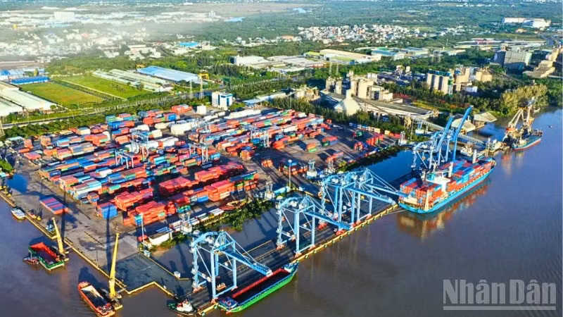Ảnh minh họa: Tân cảng-Cảng Cát Lái.
