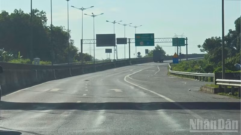 Lún sống trâu trên mặt đường cao tốc Đà Nẵng-Quảng Ngãi. (Ảnh: Báo Nhân Dân)