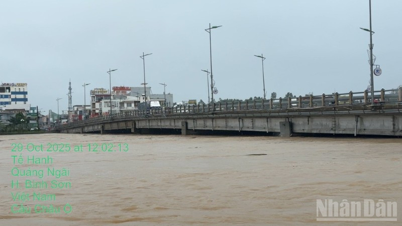 Nước lũ dâng cao đe dọa cầu Châu Ổ nằm trên địa phận tỉnh Quảng Ngãi.