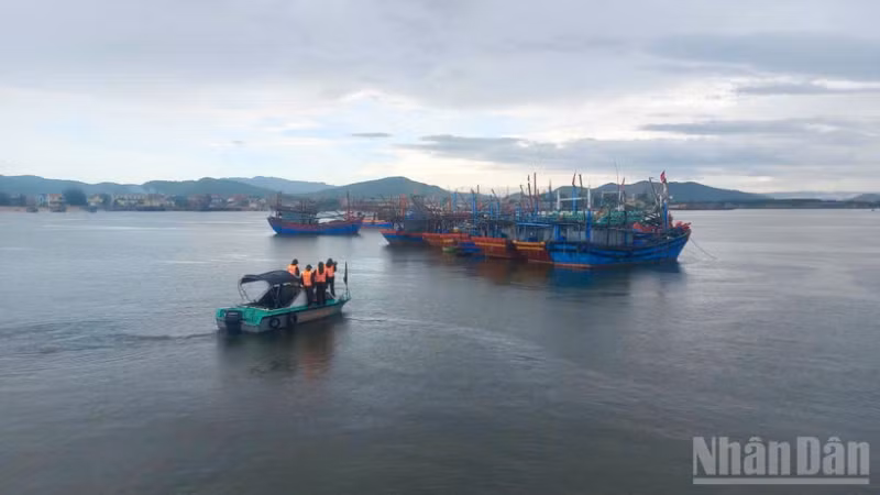 Bộ đội biên phòng Quảng Trị vận động ngư dân lai dắt tàu thuyền vào nơi tránh, trú bão số 5. (Ảnh: Báo Nhân Dân)