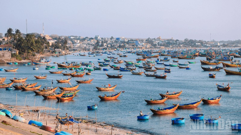 Làng chài ven biển thuộc tỉnh Lâm Đồng.