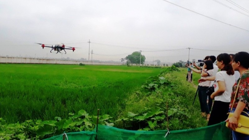 Sử dụng thiết bị bay không người lái để phun thuốc bảo vệ thực vật. 