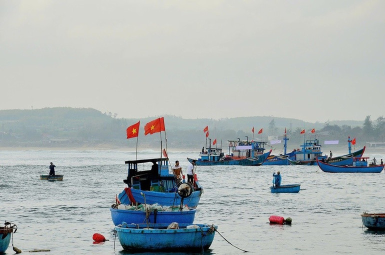 Ngư dân Quảng Ngãi vươn khơi bám biển, thực hiện nghiêm quy định chống khai thác IUU. (Ảnh: LƯU HƯƠNG) ngu-dan-quang-ngai-vuon-khoi-bam-bien-thuc-hien-nghiem-quy-dinh-chong-khai-thac-iuuanh-luu-huong.jpg