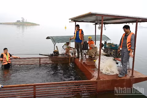 Miền bắc được đánh giá là khu vực có điều kiện thuận lợi nhất cả nước để phát triển nuôi trồng thủy sản hồ chứa.