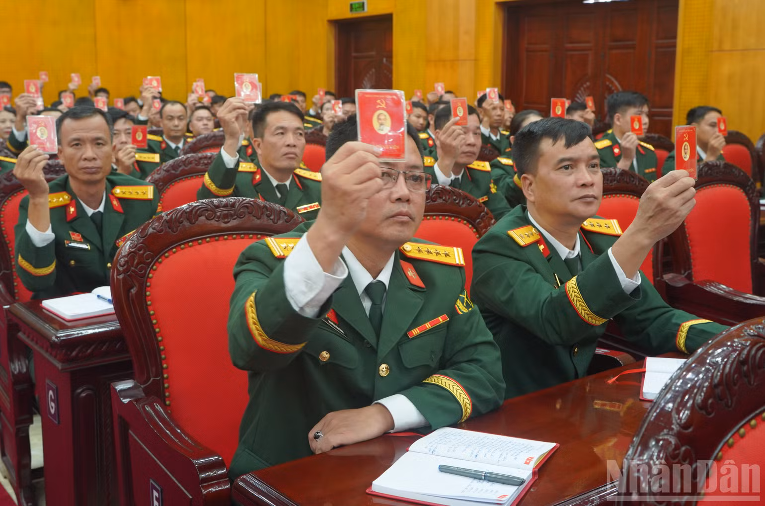 ndo_br_anh-4.jpg