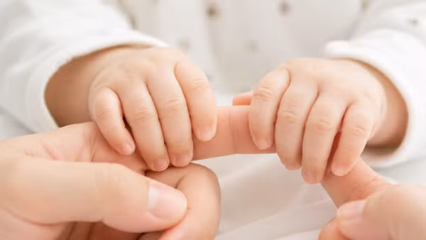 Ảnh minh họa được tạo bởi AI.