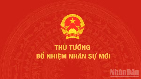 Thủ tướng điều động, bổ nhiệm nhân sự 4 bộ, cơ quan