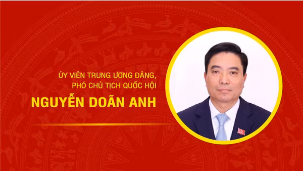 [Infographic] Tiểu sử Phó Chủ tịch Quốc hội Nguyễn Doãn Anh