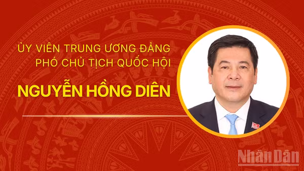 [Infographic] Tiểu sử Phó Chủ tịch Quốc hội Nguyễn Hồng Diên