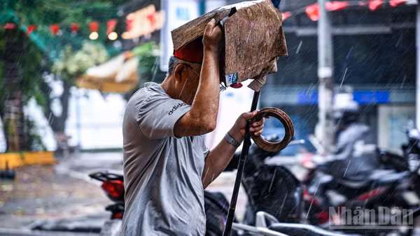 (Ảnh minh họa: THÀNH ĐẠT)