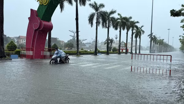 (Ảnh minh họa: TTXVN)