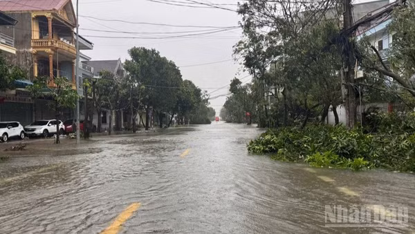 (Ảnh minh họa: nhandan.vn)