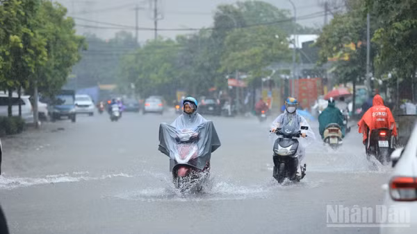 (Ảnh minh họa: THÀNH ĐẠT)