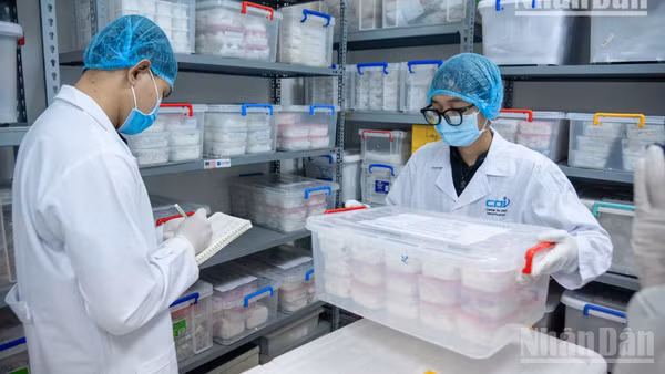 Trung tâm Giám định ADN (Viện Hàn lâm khoa học và Công nghệ Việt Nam) thực hiện xác định danh tính hài cốt liệt sĩ bằng phương pháp giám định ADN. (Ảnh: MINH DUY/nhandan.vn)
