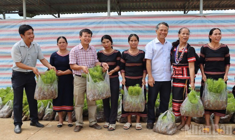 Lãnh đạo xã trao cây giống cho bà con các thôn. image.jpg