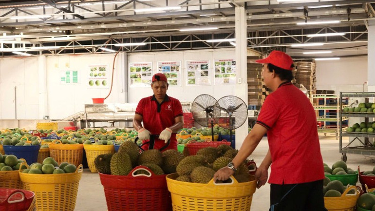 Cần tăng sức cạnh tranh cho nông sản mùa vụ. 8-tang-suc-canh-tranh-cho-nong-san-mua-vu-2-7615.jpg