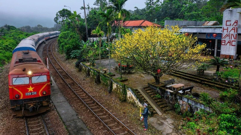 Nữ hành khách lạc trong rừng suốt 2 ngày được cứu nhờ nỗ lực của ngành đường sắt
