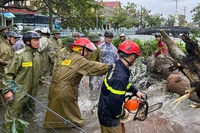 Công an Thanh Hóa cắt, giải phóng cây bị đổ.